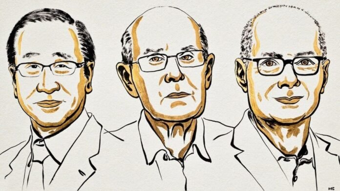 Nobel Prize in Chemistry goes to trio for ‘development of metal-organic frameworks’