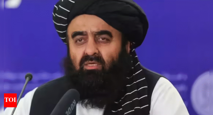 No women journo at minister's presser | India News - The Times of India