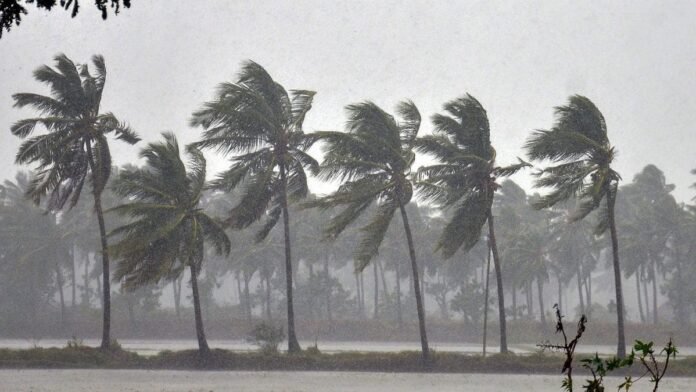 Cyclone Montha: Severe storm forming in Bay of Bengal, rough weather alert for east coast