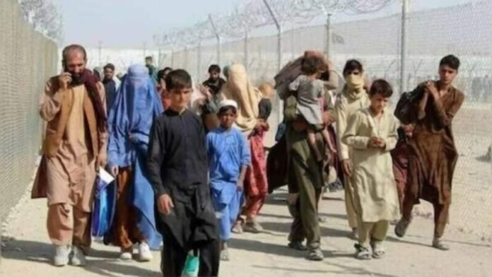 Germany offers cash to Afghans in Pakistan to deter them from entering the country