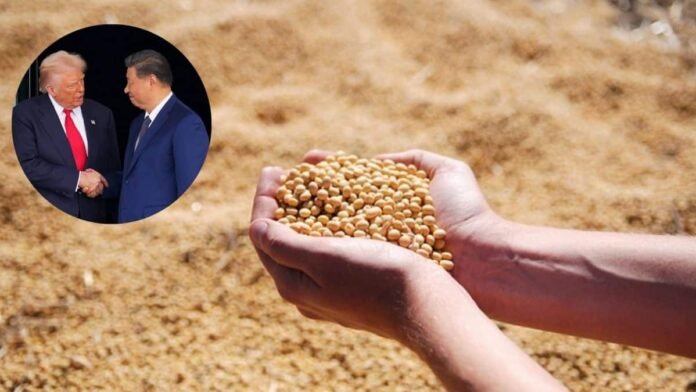 Trump says China to purchase ‘tremendous amounts’ of US soybeans