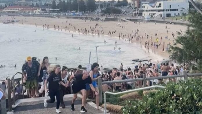 'I could not sleep': Sydney man harassed after being misidentified in Bondi Beach shooting