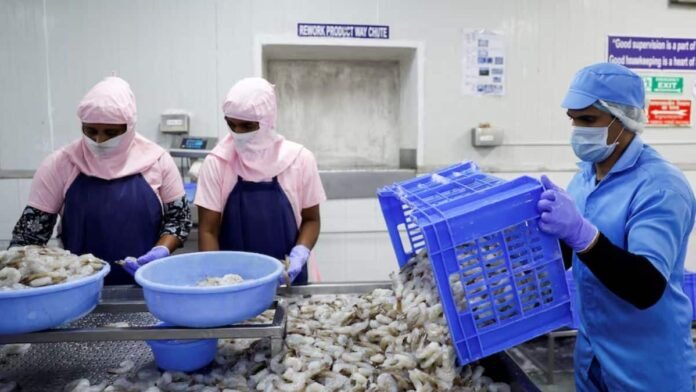 How Indian seafood exports turned the tide after US tariffs