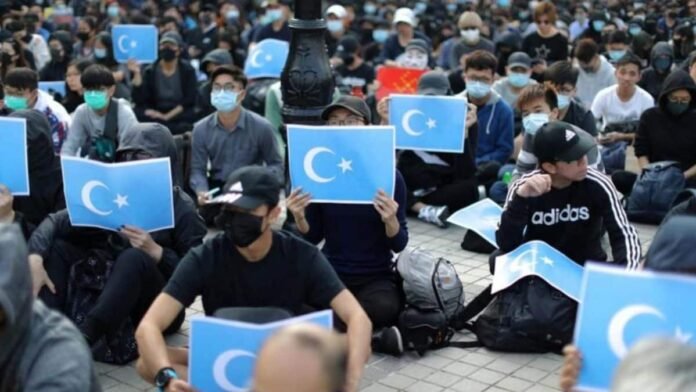 Chinese man who documented Uyghur camps faces possible US deportation