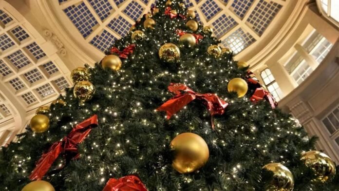 Travelling to Europe for Christmas? Plan for these airport strikes in December