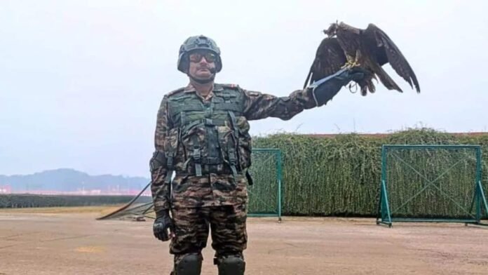 From Siachen to Kartavya Path: Animal warriors to march in Republic Day Parade — a first for India