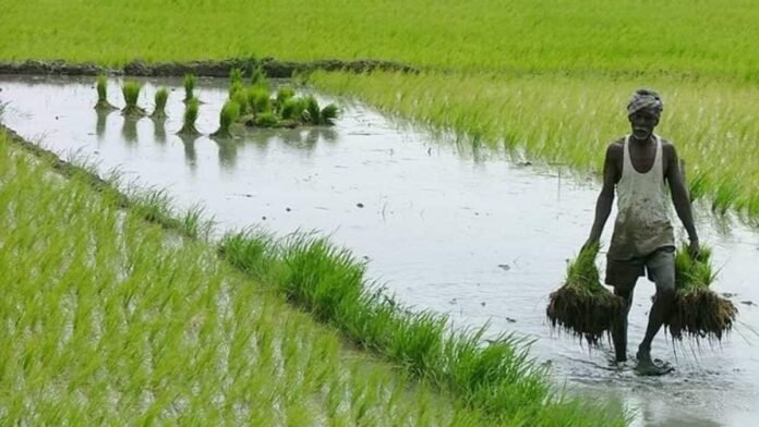 From spices to seafood, how trade deal with US will expand export runway for India