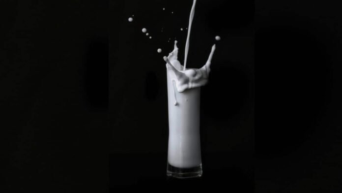 From tech to trough: How a Mysuru entrepreneur built a dairy that pays women 40% above market rates