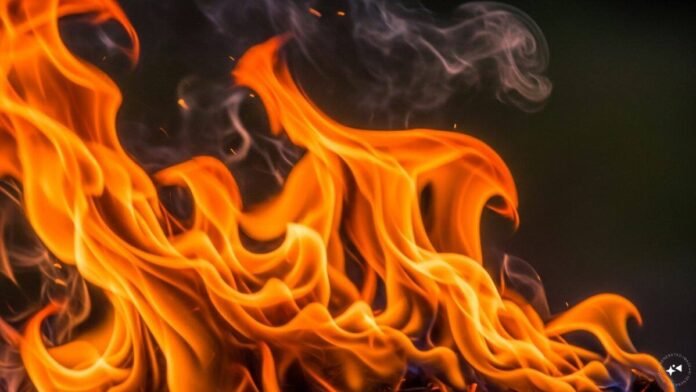 3 dead in Delhi's Rohini warehouse fire as blaze spreads to nearby huts