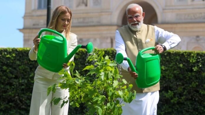 Watch: PM Modi plants black mulberry sapling with Meloni in Rome in symbol of India-Italy ties